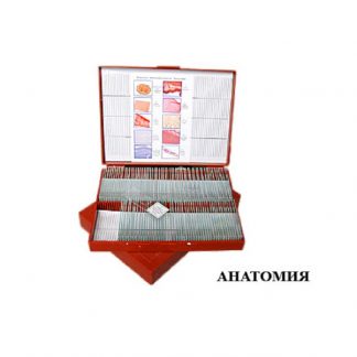 Комплект микропрепаратов "Анатомия" (базовый уровень)