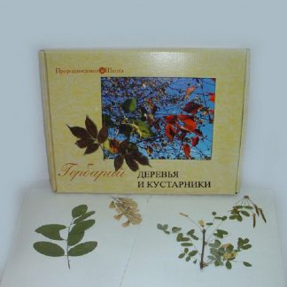 Гербарий "Деревья и кустарники"