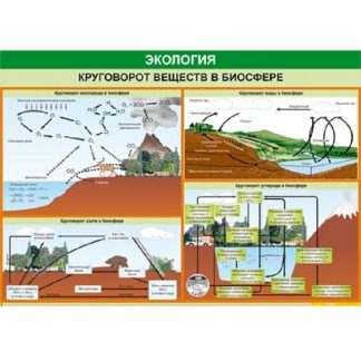 Круговорот веществ в биосфере (таблица, винил)