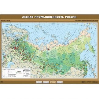 Лесная промышленность России.