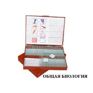 Комплект микропрепаратов "Общая биология" (базовый уровень)
