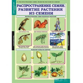Окружающий мир 3 класс (14 таблиц)
