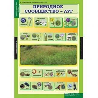 Окружающий мир 4 класс (14 таблиц)