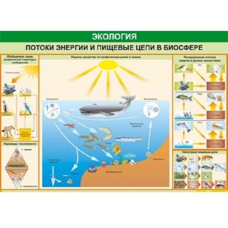 Потоки энергии и пищевые цепи в биосфере (таблица, винил)