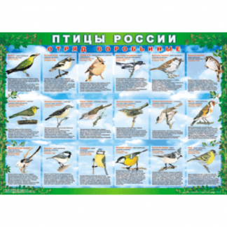 Птицы России (4 табл., винил)
