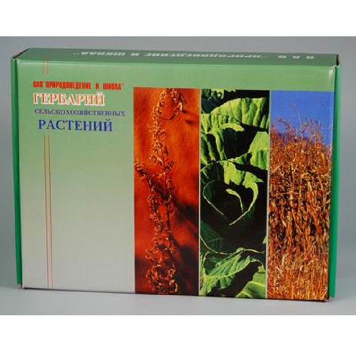 Гербарий "Сельскохозяйственные растения"