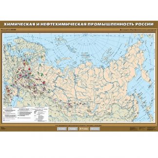Химическая и нефтехимическая промышленность России.