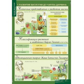 Биология 10-11 классы. Эволюционное учение (10 табл.)