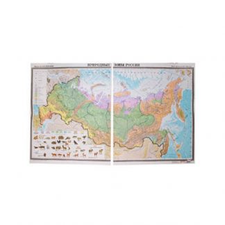 Природные зоны России (карта)